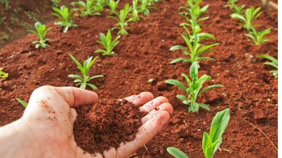 हिमाचल प्रदेश किसानों के लिए खुशखबरी! जैविक खेती को बढ़ावा देने और आमदनी बढ़ाने के लिए सरकार ने शुरू की हैं कई नई योजनाएं