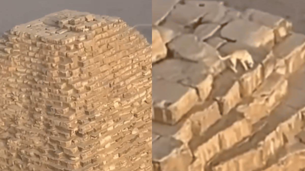 पिरामिड पर कुत्ते का वायरल वीडियो: देखिये हैरान करने वाला नज़ारा!