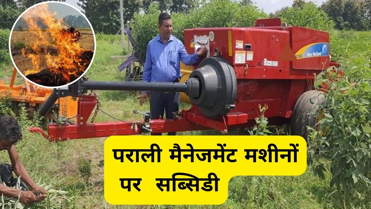 यूपी सरकार की किसान सब्सिडी योजना: 80% तक सब्सिडी पाएँ!