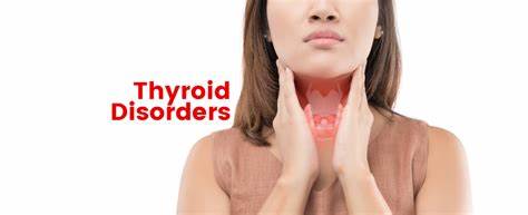 Thyroid Disorders and Their Link to Weight Gain