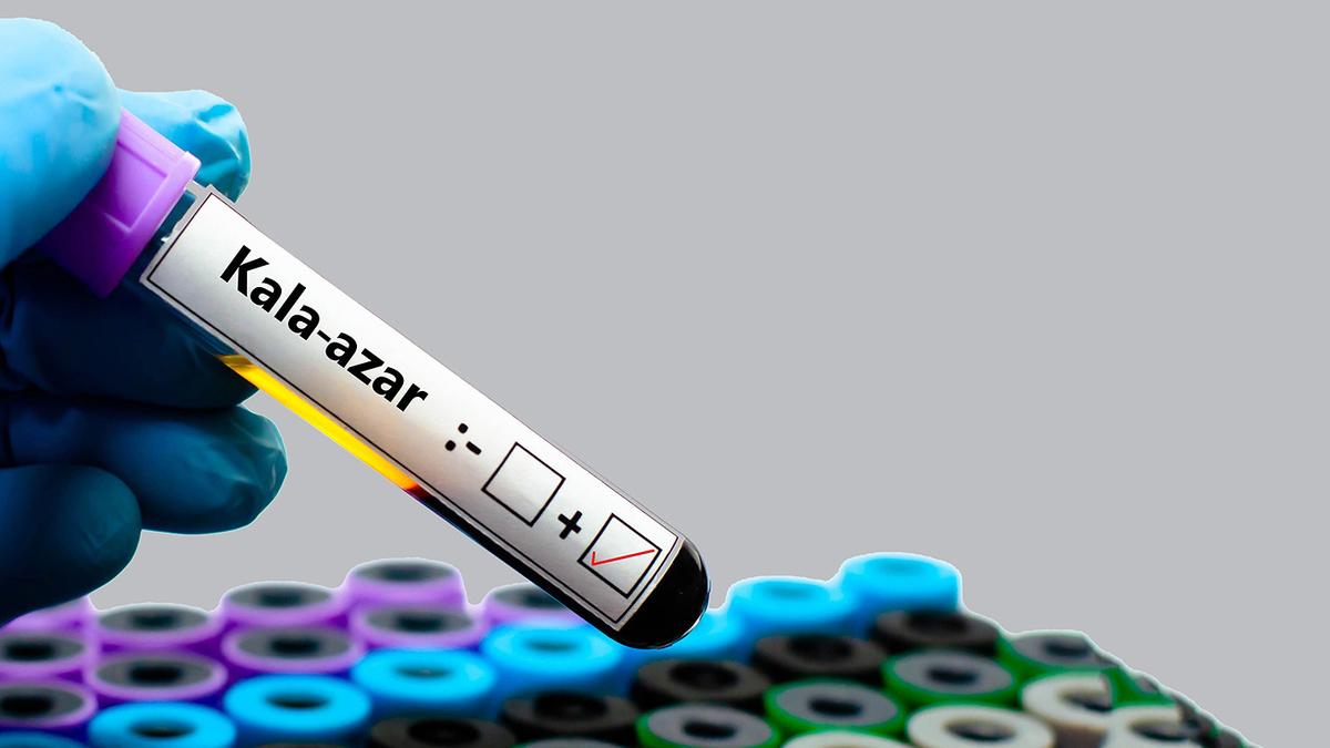 भारत में कालाजार उन्मूलन: एक क्रांति