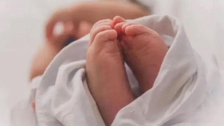 बलरामपुर: जंगली जानवर ने उठा ले गई 19 दिन की बच्ची!