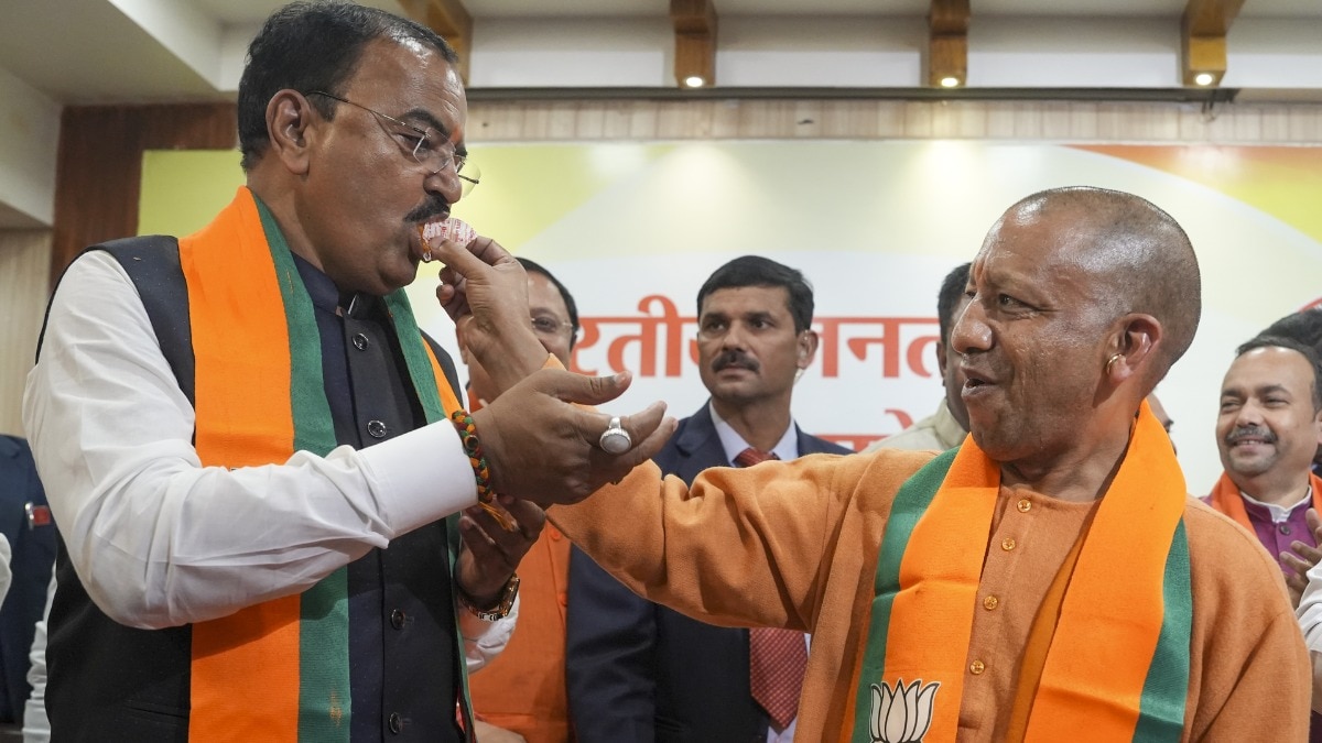 यूपी बीजेपी की शानदार जीत: रणनीति और जीत का रहस्य