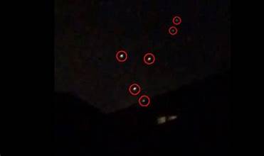 Unraveling the Mystery: The Miami “Alien Creature” Incident Analyzed