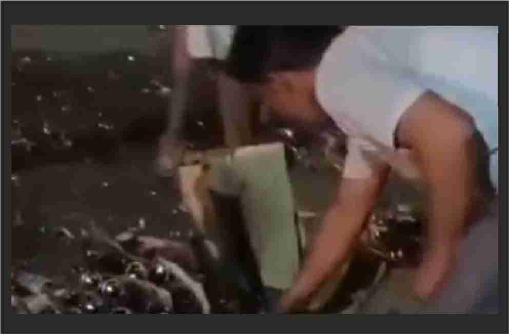 Bijnor News Today : शराब भरा मिनी ट्रक पलटा, सड़क पर बिखरी शराब की बोतलों पर टूट पड़े पियक्कड़, तड़पता रहा घायल ड्राइवर