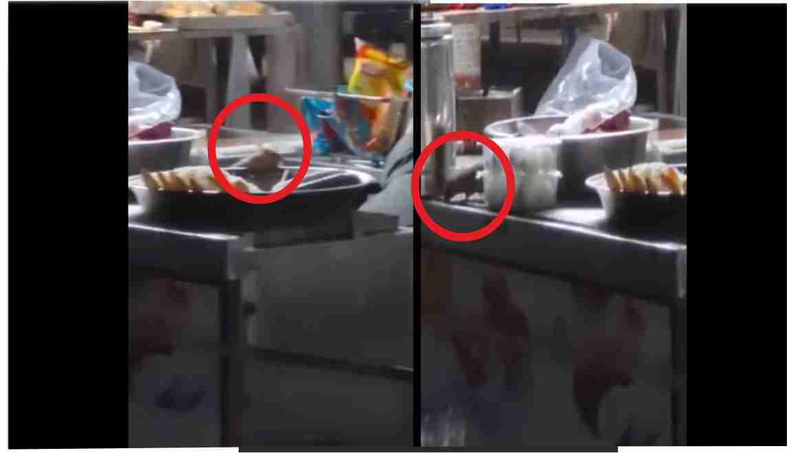 IRCTC स्टॉलों के भोजन की गुणवत्ता की खुली पोल, चूहे खुले में रखे खाने को खाते दिखे !